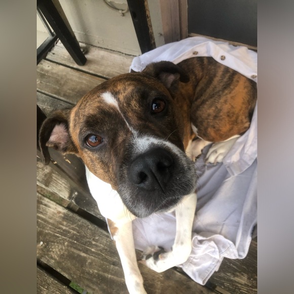 Hello there! - Picture 8 of 11